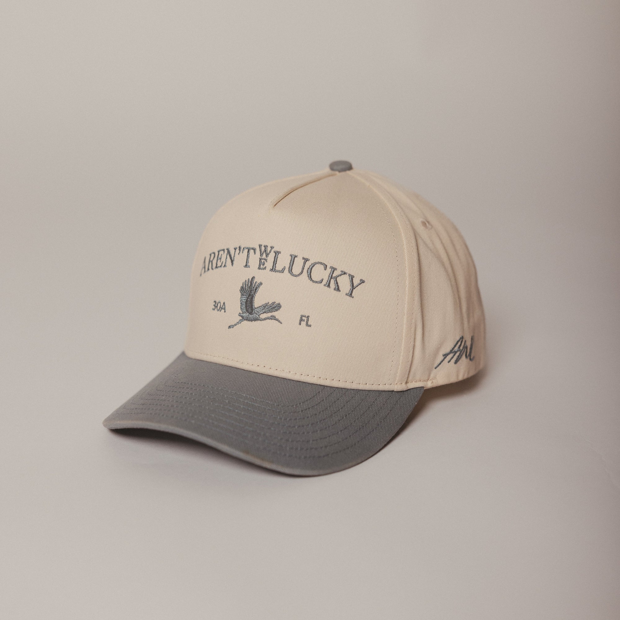 Beige and dusty blue Aren't We Lucky cap with text and logo on a beige background